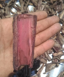 Buy Mimosa Hostilis Root Bark (MHRB)