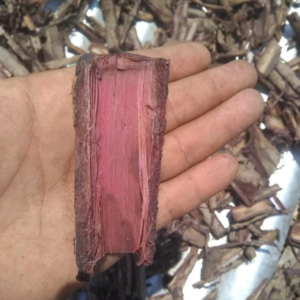 Buy Mimosa Hostilis Root Bark (MHRB)