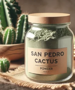 Buy San Pedro Cactus Powder