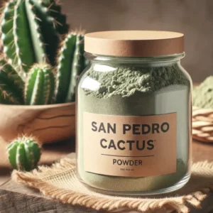 Buy San Pedro Cactus Powder
