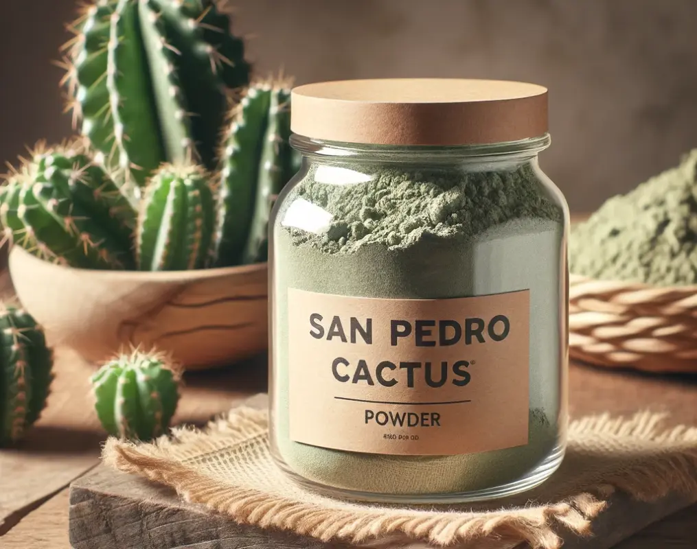 Buy San Pedro Cactus Powder
