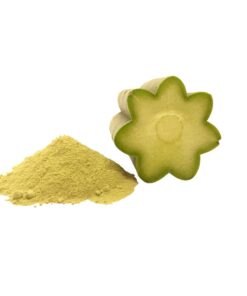 San Pedro cactus powder (Trichocereus pachanoi)1