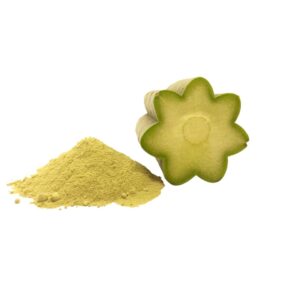 San Pedro cactus powder (Trichocereus pachanoi)1