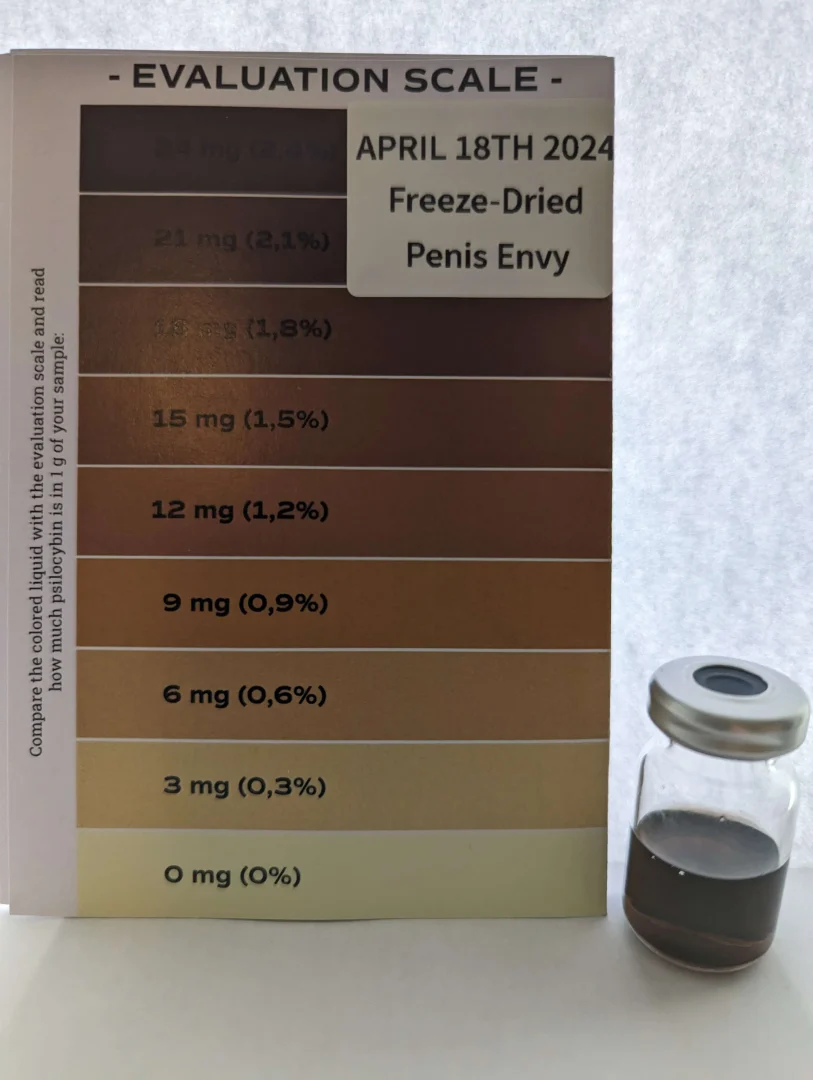 Buy Penis Envy Mushroom