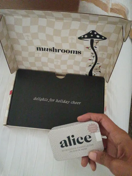 Alice Mushroom Chocolate review