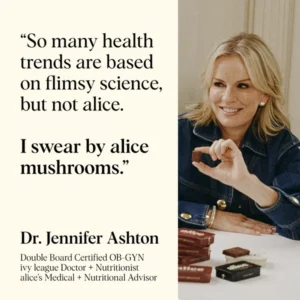 Buy Alice Mushrooms chocolate
