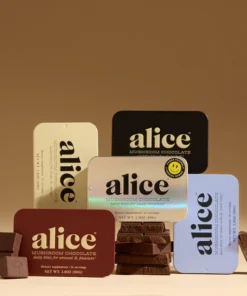 Buy Alice Mushroom chocolates