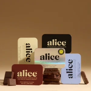 Buy Alice Mushroom chocolates