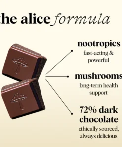 Buy Alice Mushrooms chocolate