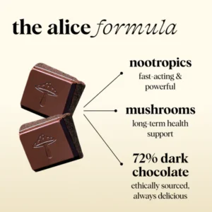 Buy Alice Mushrooms chocolate