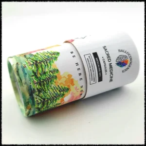 Buy Mescaline HCl Capsules