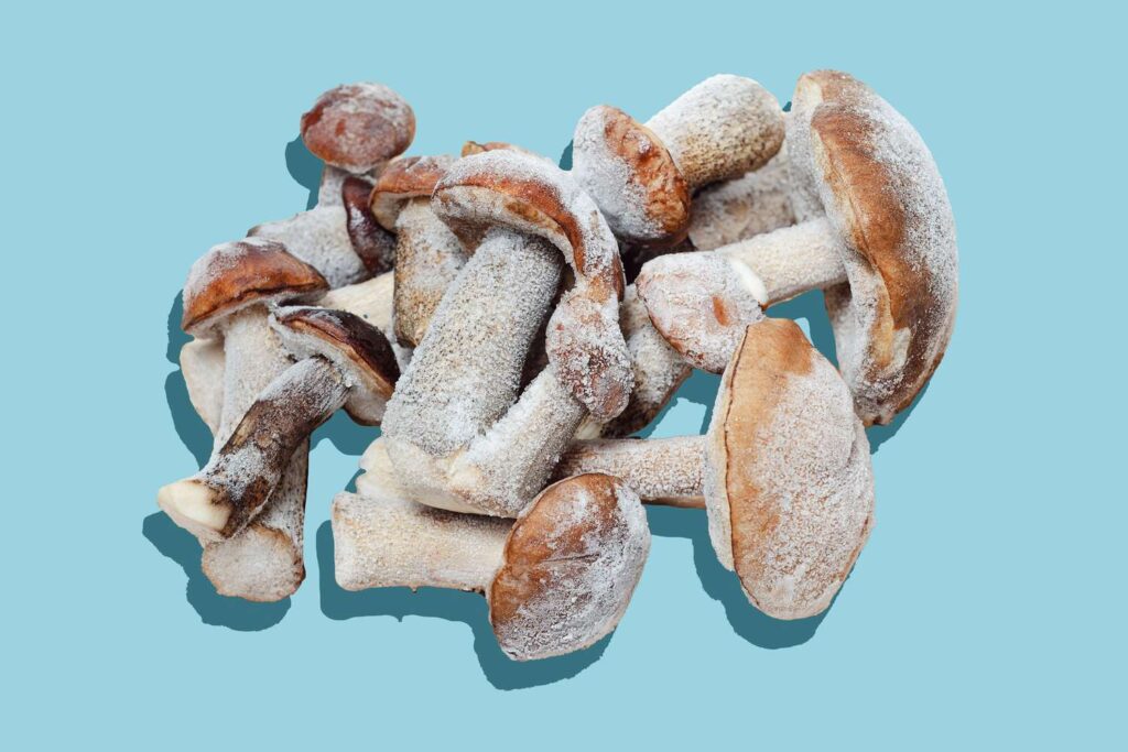 Exploring Freeze Dried Magic Mushrooms - The Future of Psychedelic Preservation