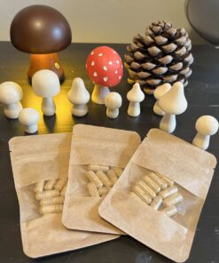 Buy Amanita Muscaria Capsules