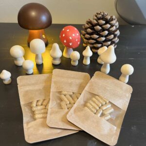 Buy Amanita Muscaria Capsules