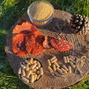 Buy Amanita Muscaria Capsules