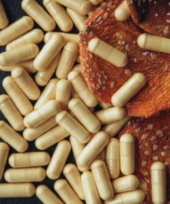 Buy Amanita Muscaria Capsules