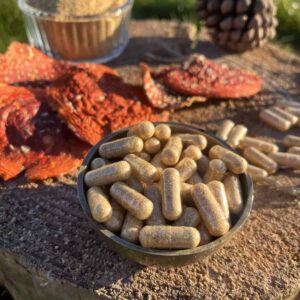 Buy Amanita Muscaria Capsules