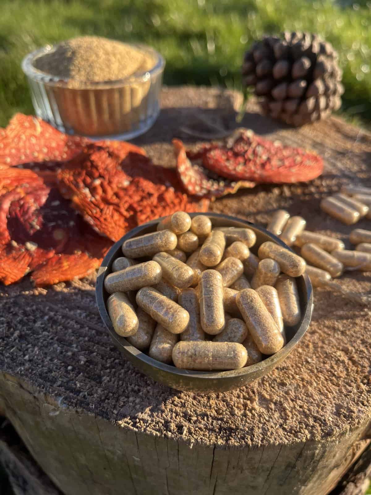 Buy Amanita Muscaria Capsules
