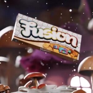 Buy Fusion Mushroom Chocolate Bars Cinnamon Toast