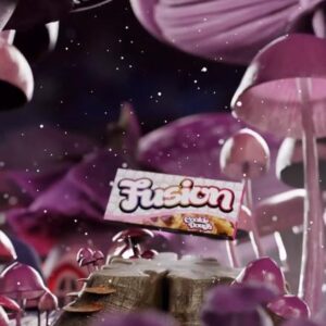 Buy Fusion Mushroom Chocolate Bars Cookie Dough