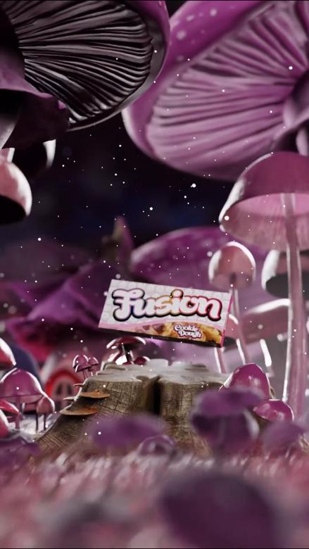 Buy Fusion Mushroom Chocolate Bars Cookie Dough