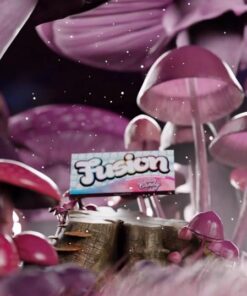 Buy Fusion Mushroom Chocolate Bars Cotton Candy