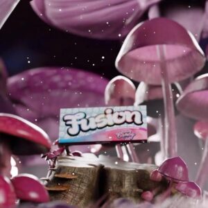 Buy Fusion Mushroom Chocolate Bars Cotton Candy