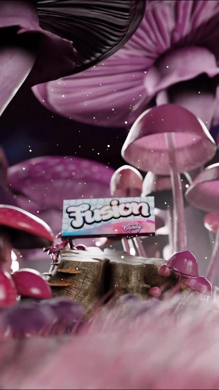 Buy Fusion Mushroom Chocolate Bars Cotton Candy