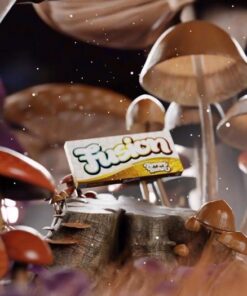 Buy Fusion Mushroom Chocolate Bars Ferrari Rocher