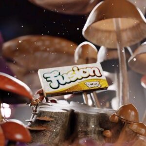 Buy Fusion Mushroom Chocolate Bars Ferrari Rocher