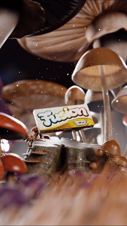 Buy Fusion Mushroom Chocolate Bars Ferrari Rocher