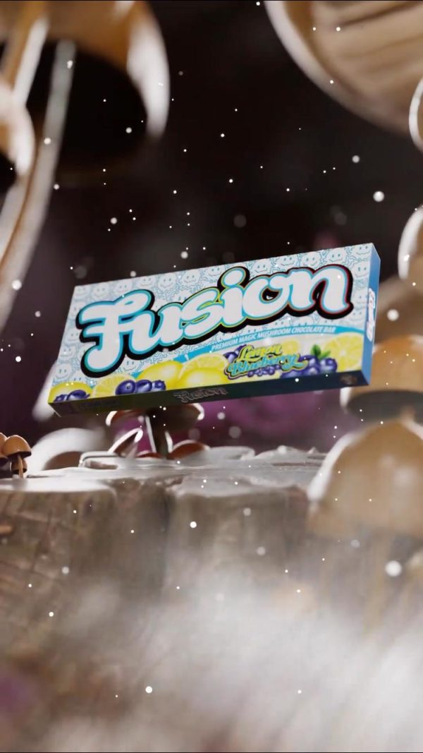Buy Fusion Mushroom Chocolate Bars Lemon Blueberry