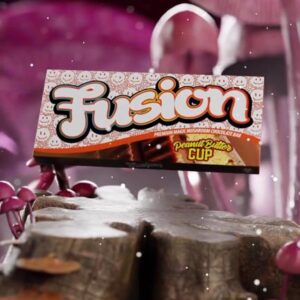 Buy Fusion Mushroom Chocolate Bars Peanut Butter cup