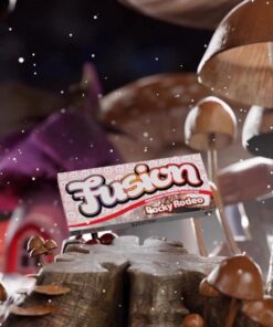 Buy Fusion Mushroom Chocolate Bars Rocky Rodeo