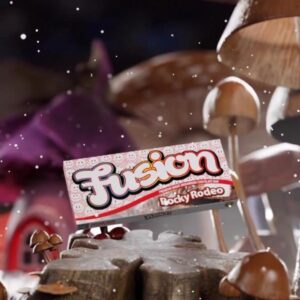 Buy Fusion Mushroom Chocolate Bars Rocky Rodeo