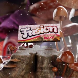 Buy Fusion Mushroom Chocolate Bars Twix