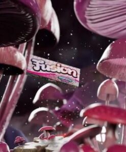 Buy Fusion Mushroom Chocolate Bars birthday Cake