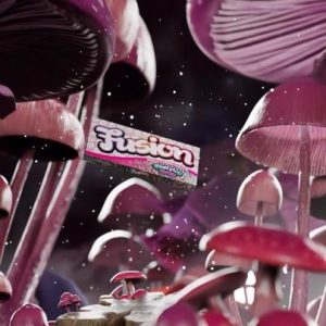 Buy Fusion Mushroom Chocolate Bars birthday Cake