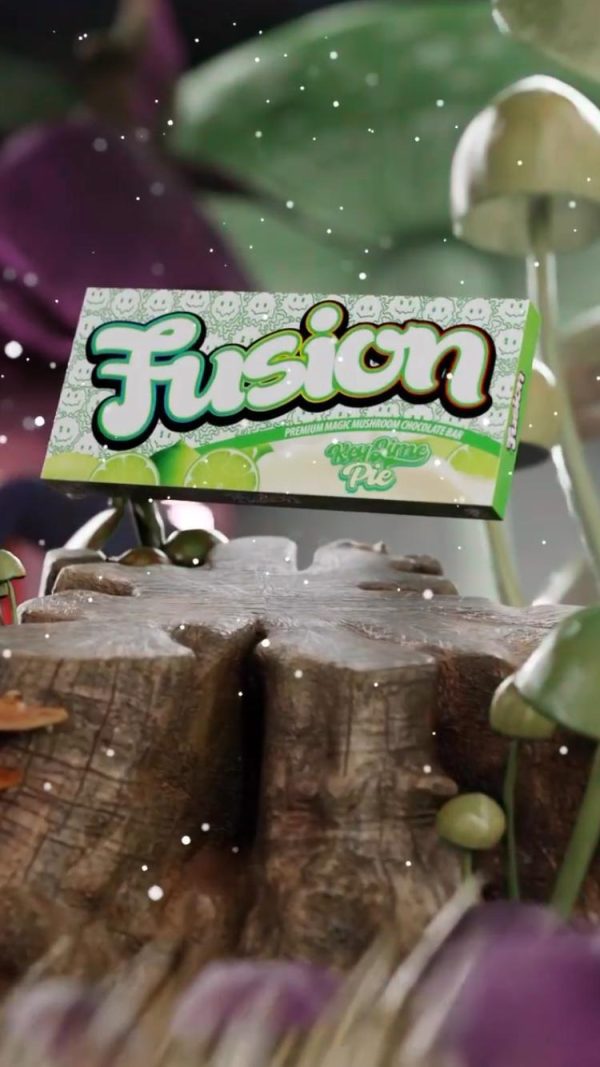 Buy Fusion Mushroom Chocolate Bars - Image 7