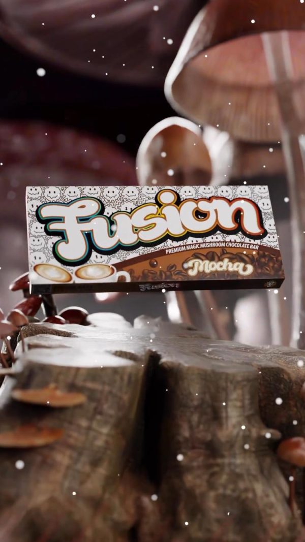 Buy Fusion Mushroom Chocolate Bars mocha