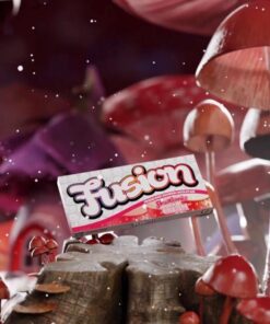 Buy Fusion Mushroom Chocolate Bars-Strawberries And Cream